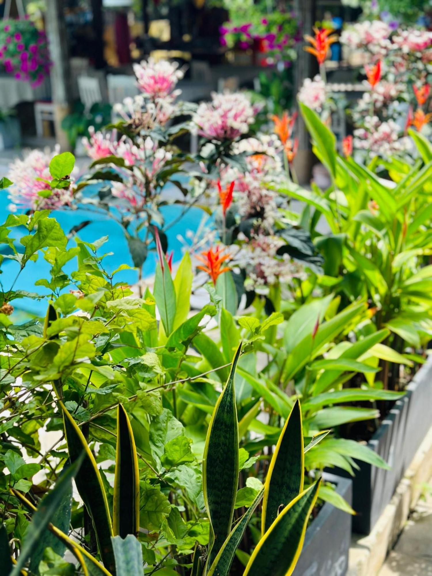 Water Palm Residence Hieu Nhon Экстерьер фото