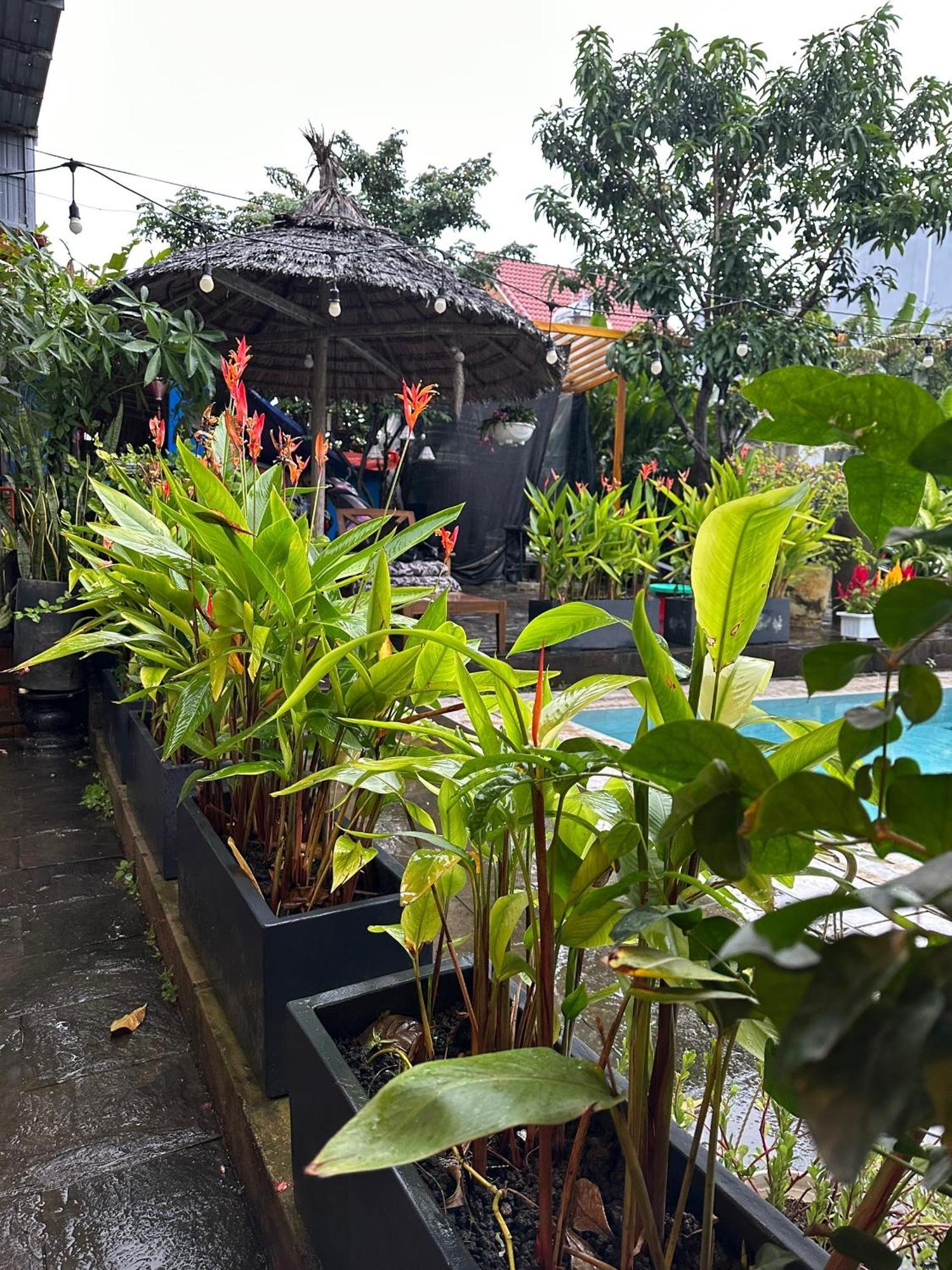 Water Palm Residence Hieu Nhon Экстерьер фото