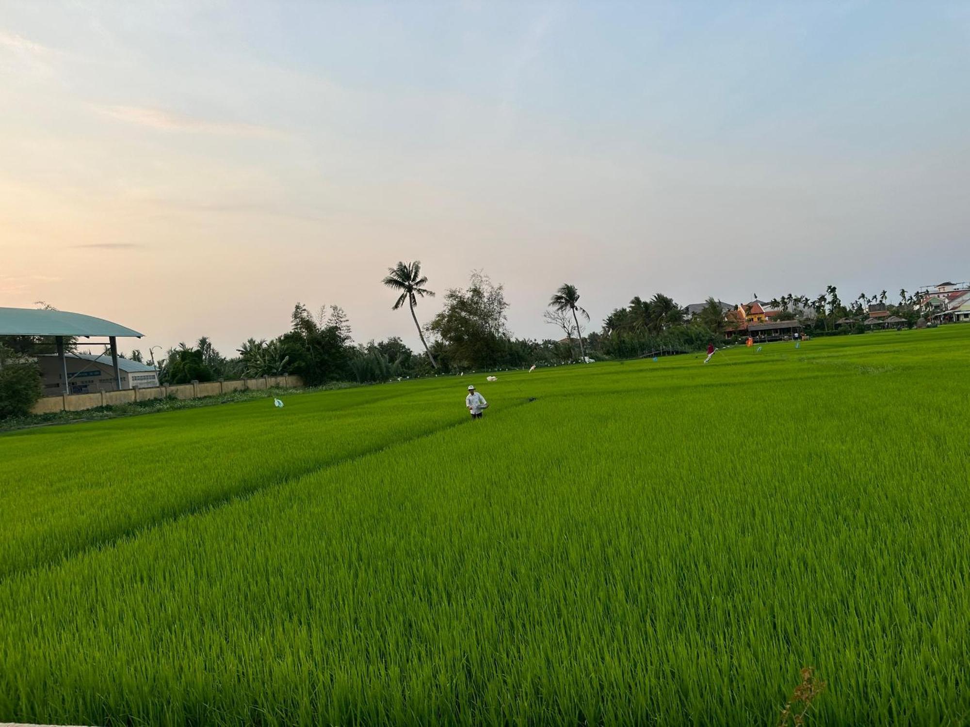 Water Palm Residence Hieu Nhon Экстерьер фото